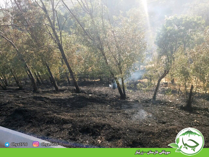 سووتانی دارستان – زرێبار‌