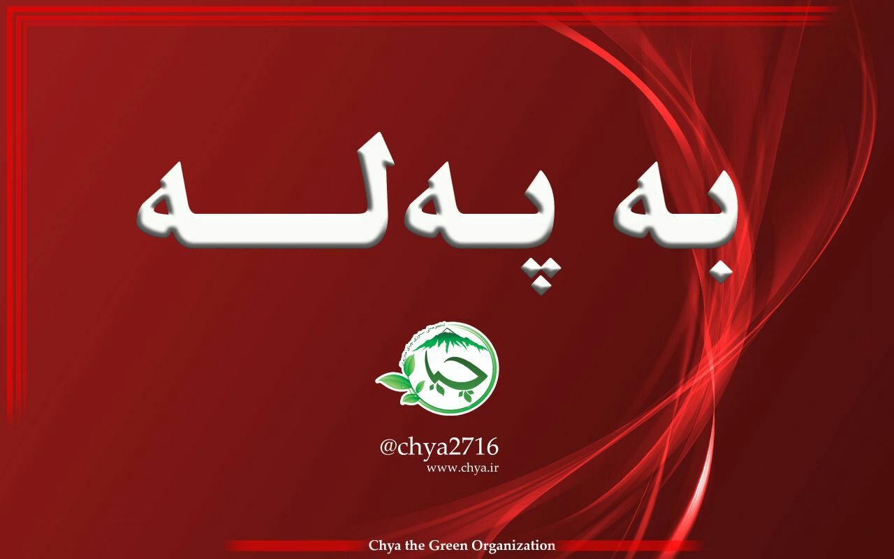 برینداربوونی یەکێک لە ئەندامانی چالاکی ئەنجومەنی سەوزی چیا لە ئاگری دارستانەکانی ئاوایی دۆڵەبێ