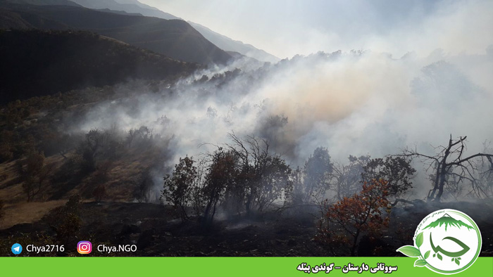 سووتانی دارستان – گوندی پێلە