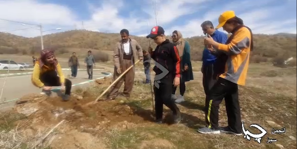ناشتنی ۱۰۰ نەمامی پەڵک لە گۆڕستانی گشتیی شاری مەریوان